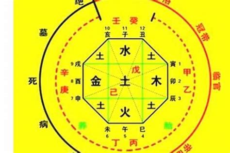 五行八字查詢|生辰八字算命、五行喜用神查詢（免費測算）